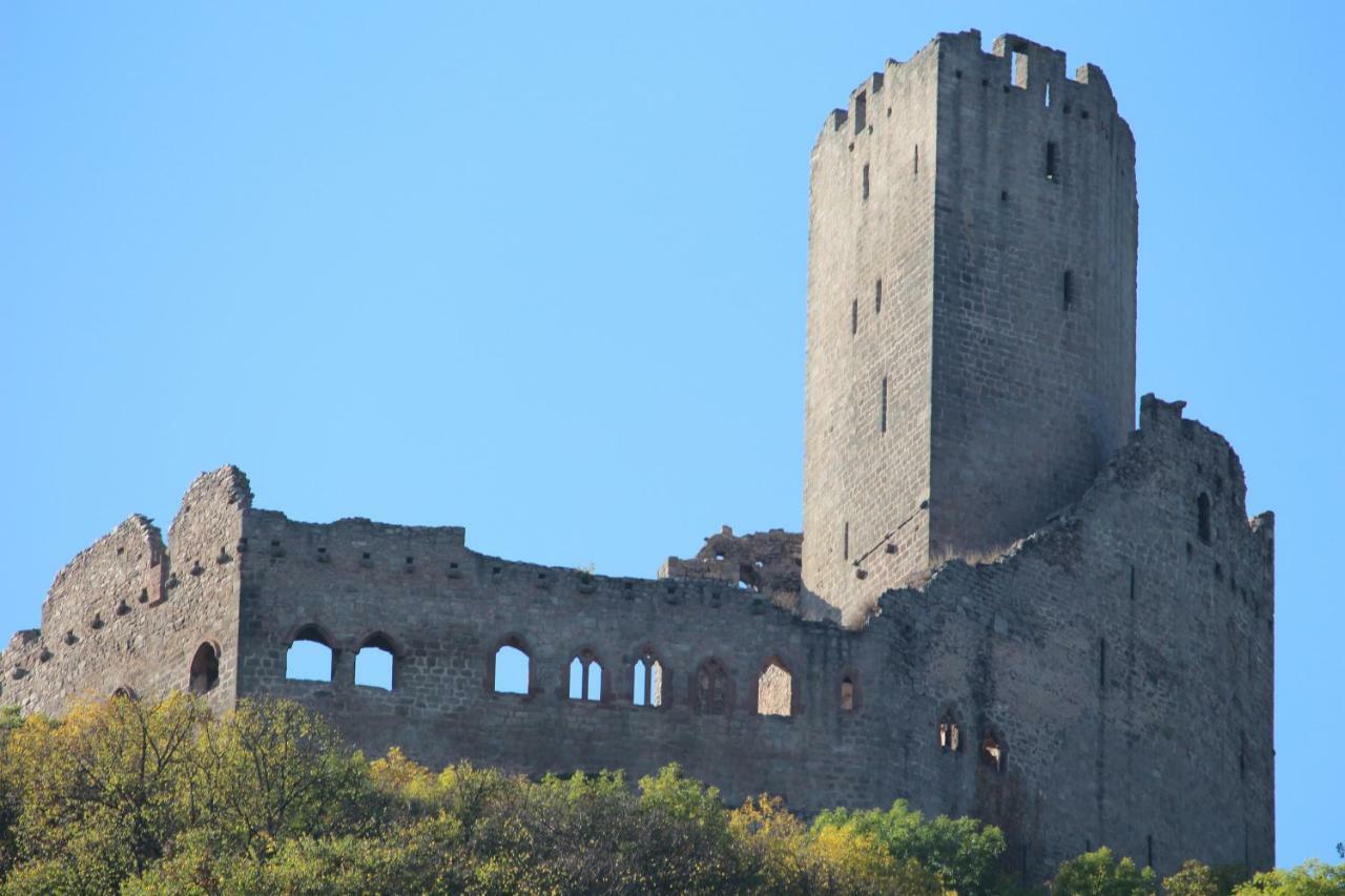 Gite Au Centre De L'Alsace Scherwiller Bagian luar foto