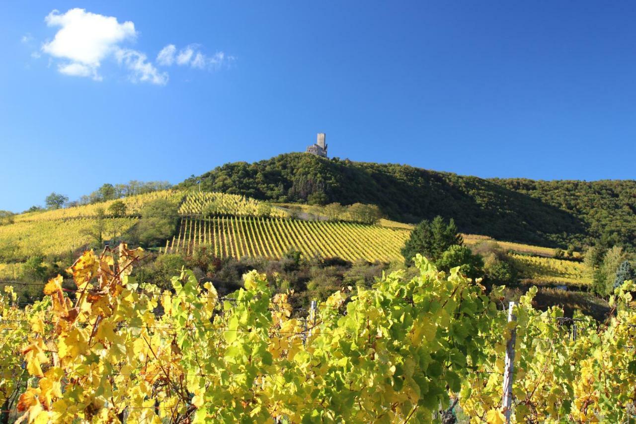 Gite Au Centre De L'Alsace Scherwiller Bagian luar foto